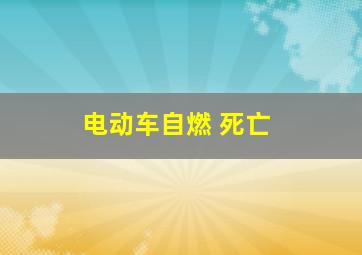 电动车自燃 死亡